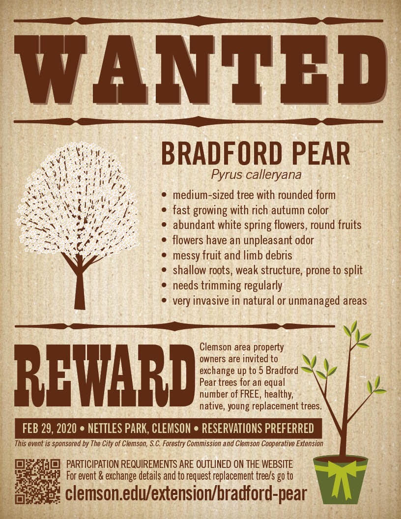 Bradford Pear Exchange Program Feb 29th, 2020 at Nettles Park