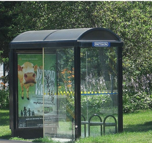 CATbus: New Bus Stop Shelters