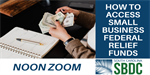 Free Zoom Call on Small Business Relief Options