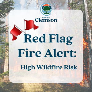 Clemson Under Red Flag Fire Alert: High Wildfire Risk